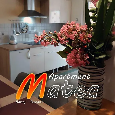 Apartment Matea Rovinj Exterior photo